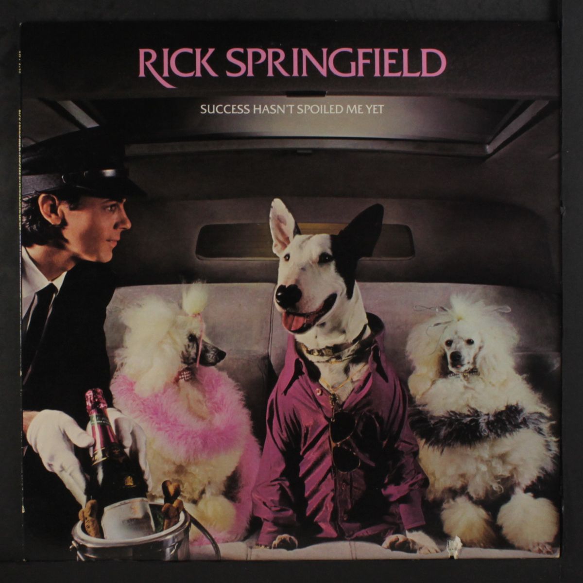 success hasn't spoiled me yet by RICK SPRINGFIELD