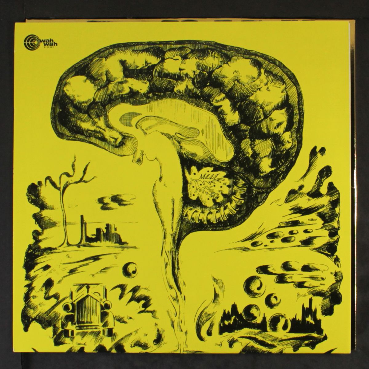cerebrum by CEREBRUM