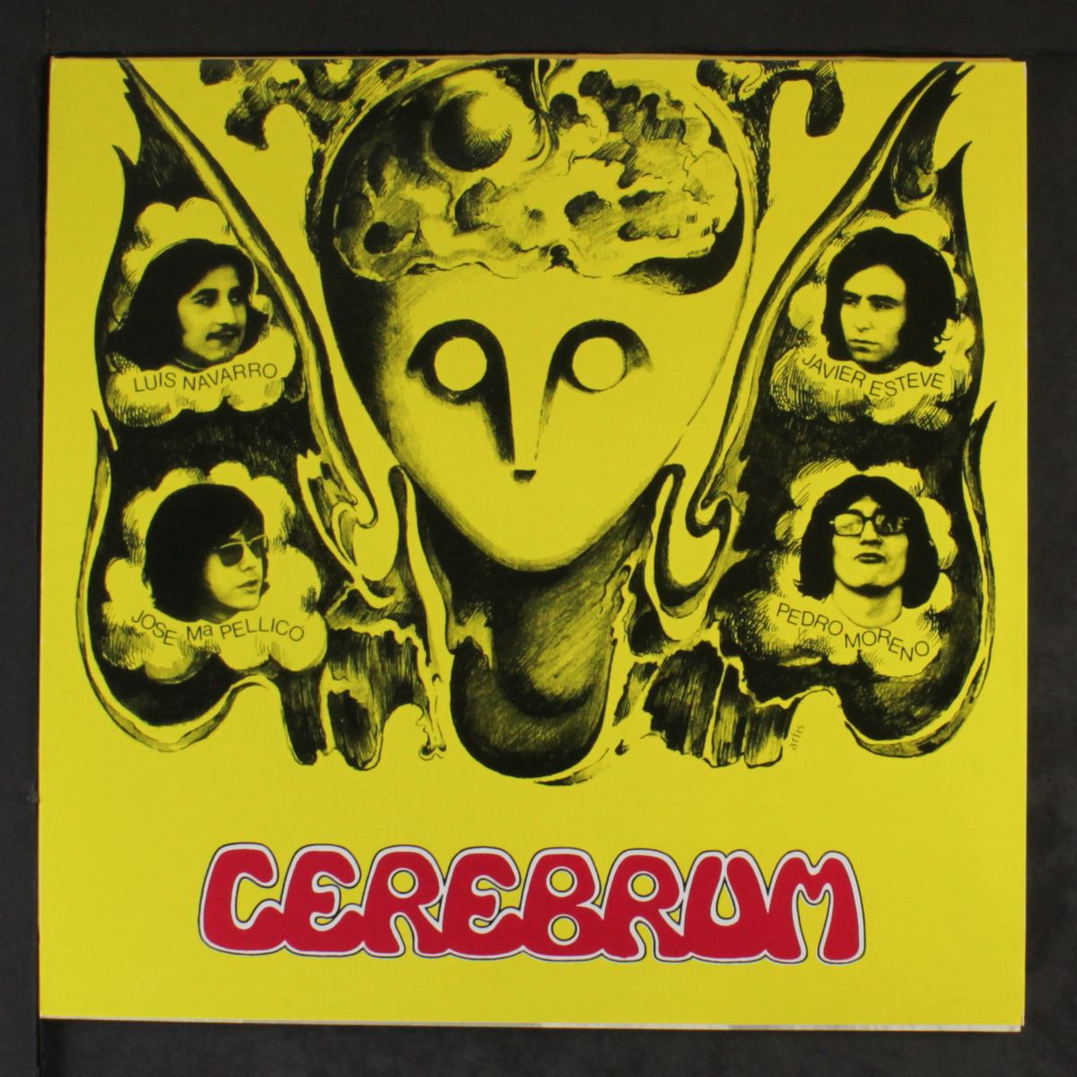 cerebrum by CEREBRUM