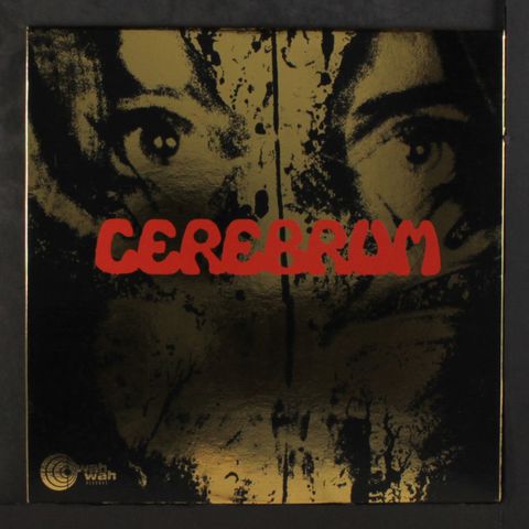 CEREBRUM
