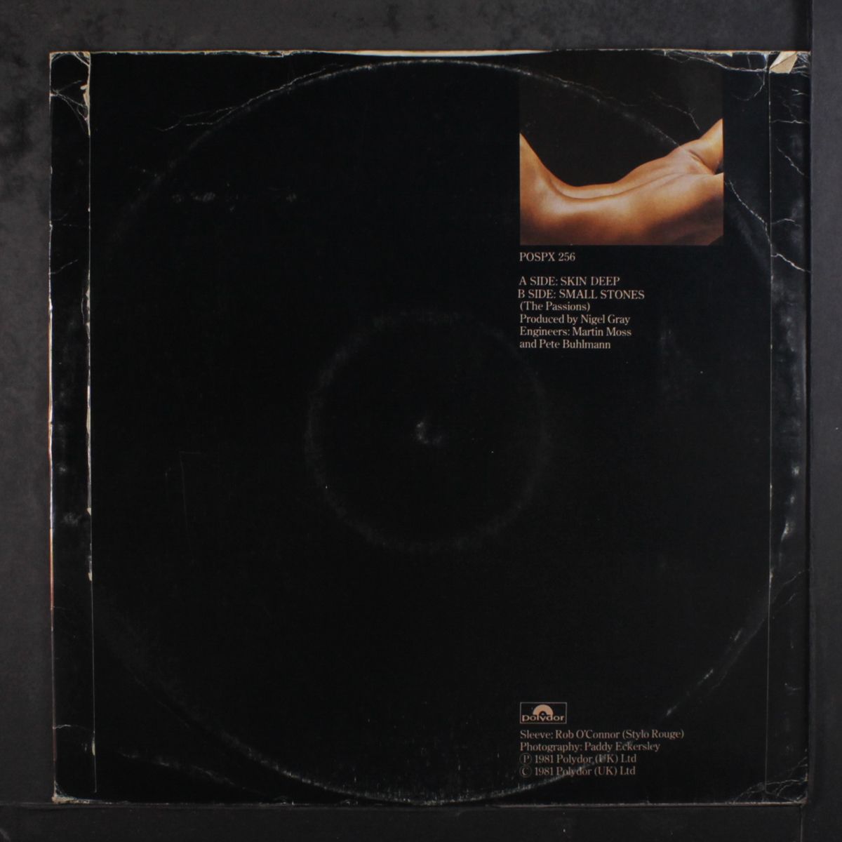 skin deep by PASSIONS