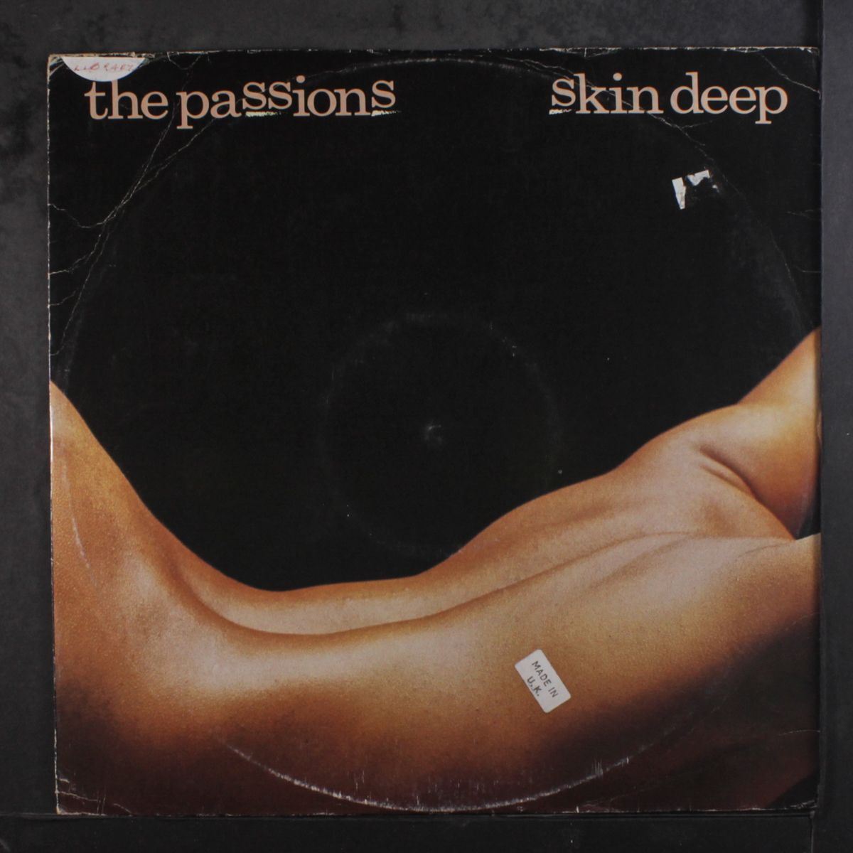 skin deep by PASSIONS
