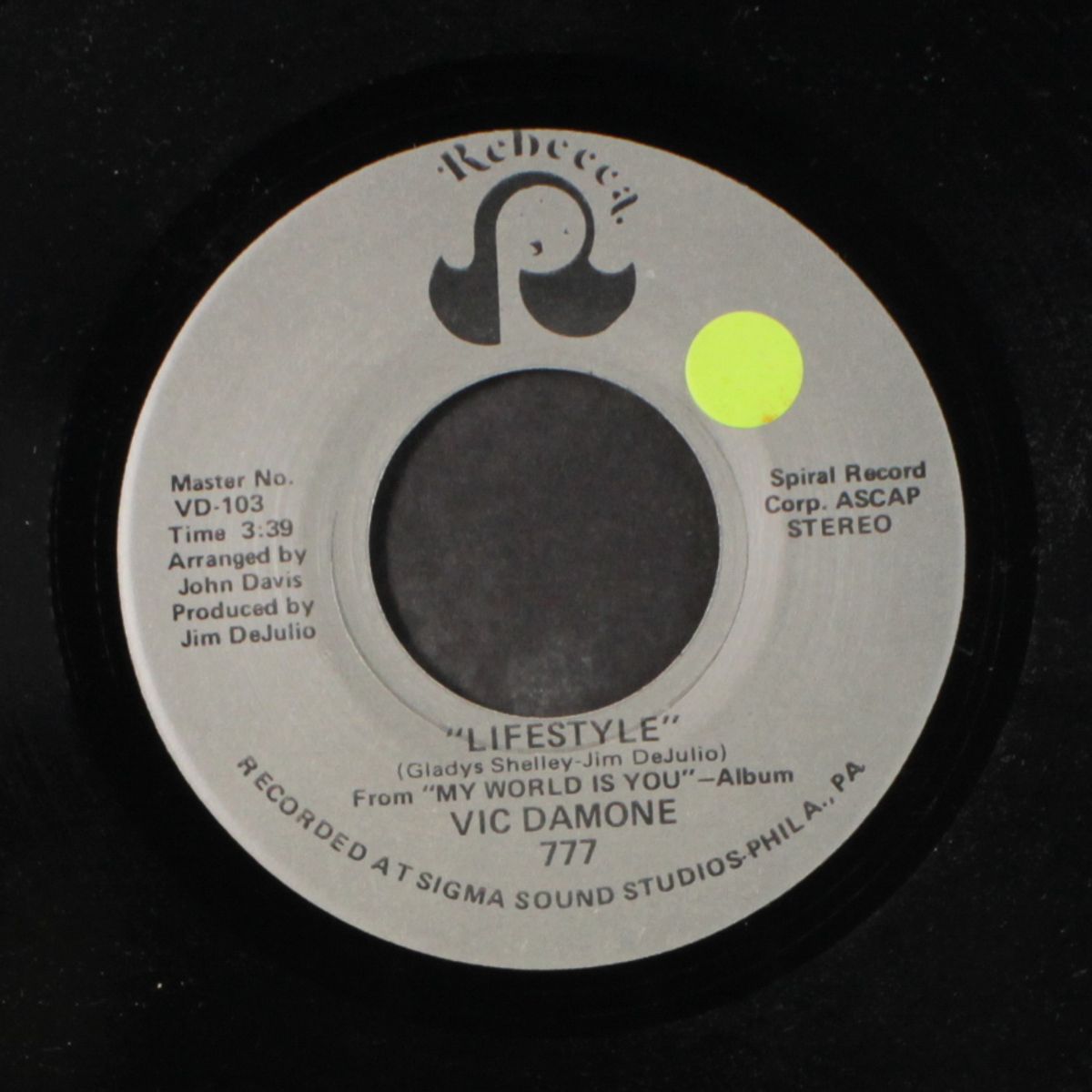 how did she look / lifestyle by VIC DAMONE