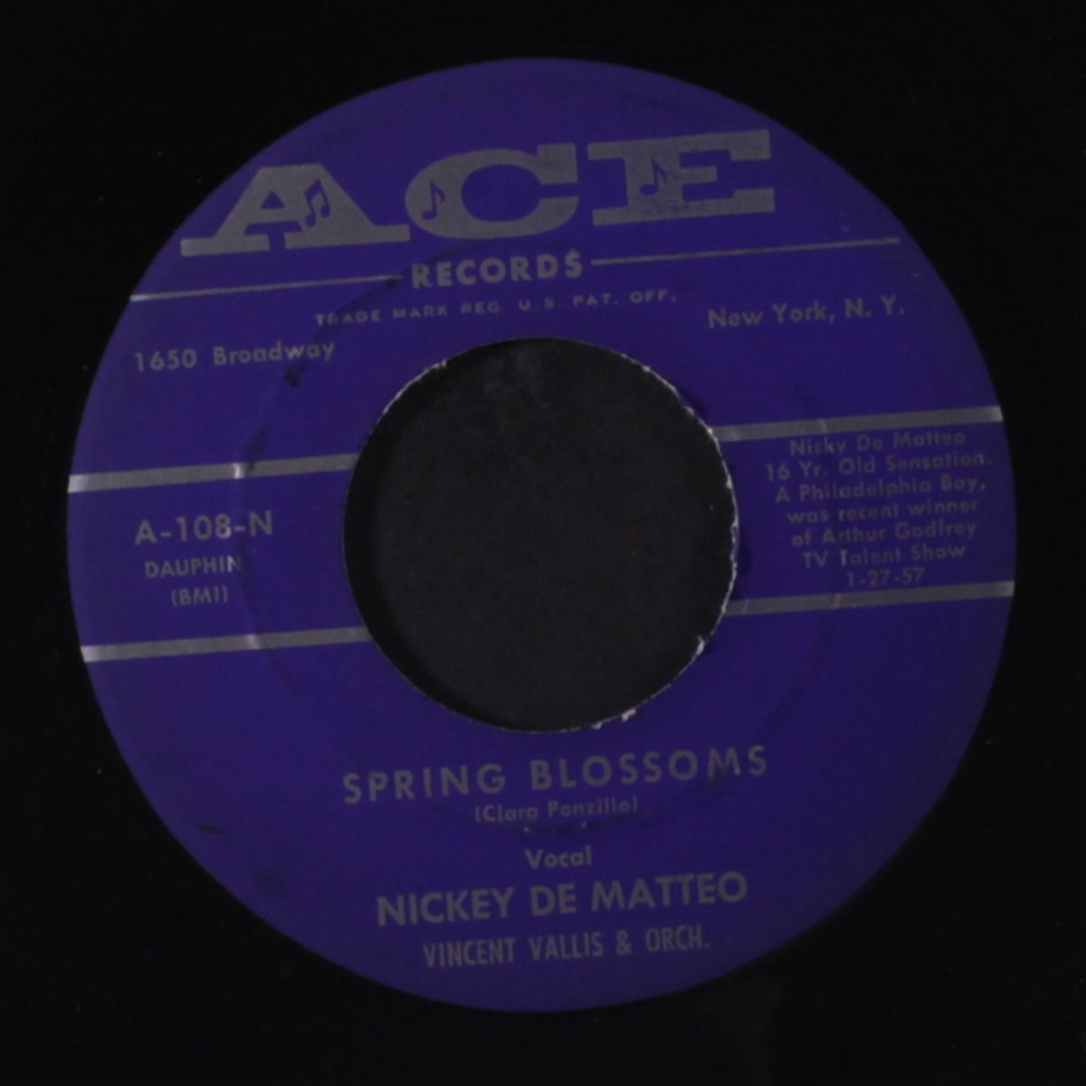 spring blossoms / winging my way home to you by NICKEY DE MATTEO