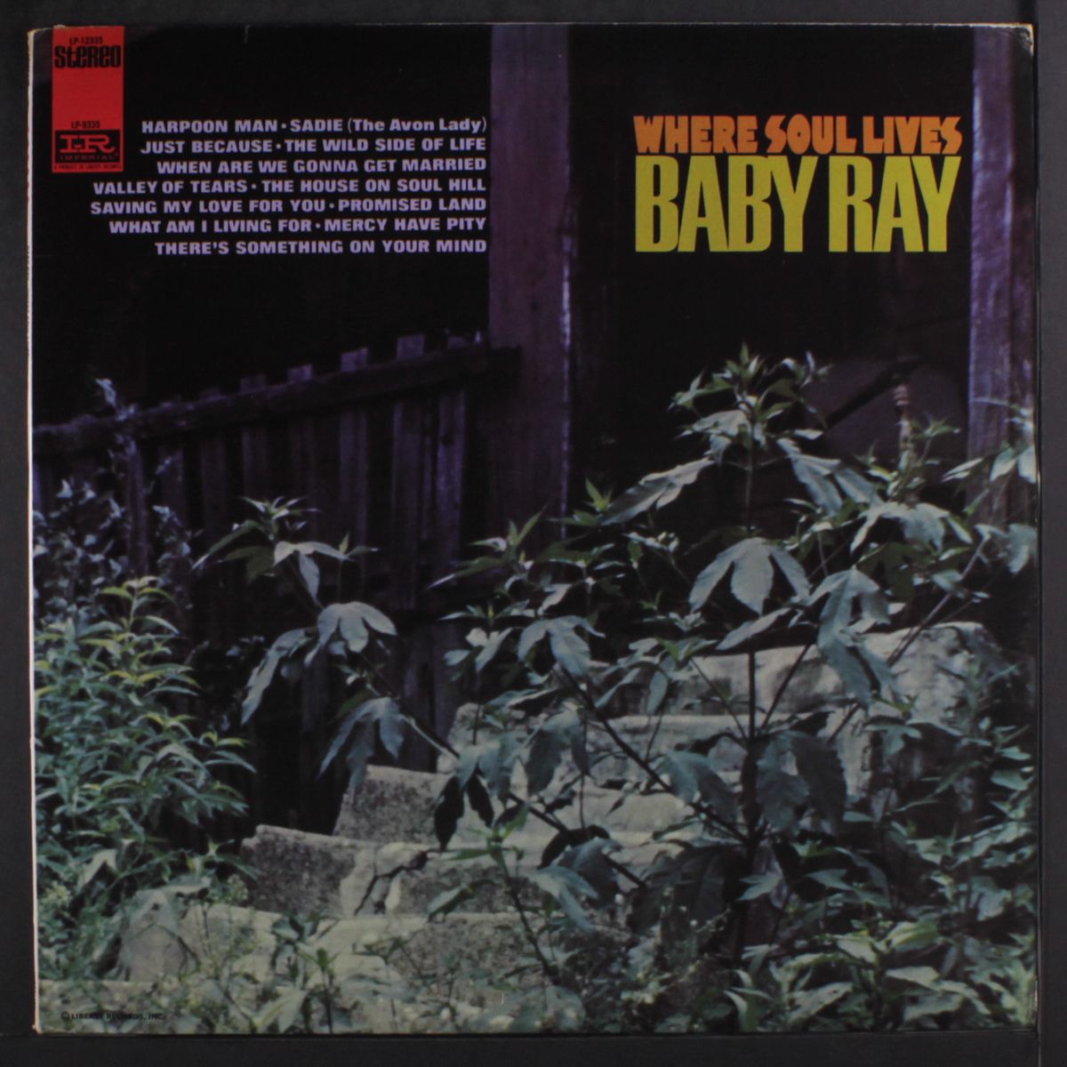 where soul lives by BABY RAY
