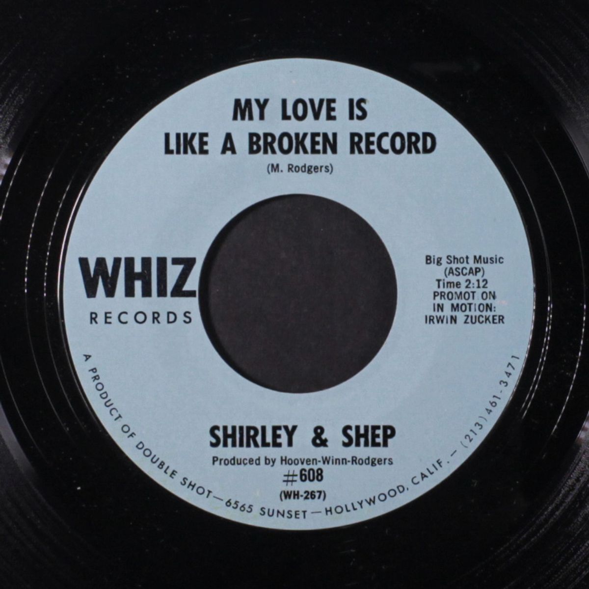 snake in the grass / my love is like a broken record by SHIRLEY & SHEP