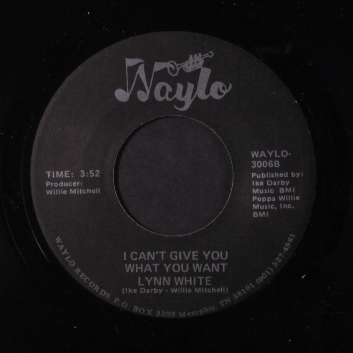 i can't give you what you want / don't let success (turn our love arou by LYNN WHITE