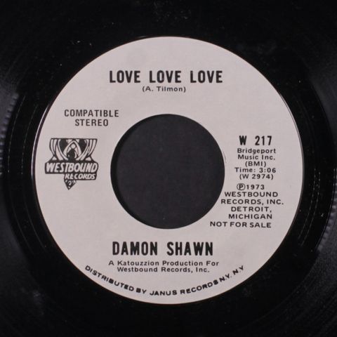 DAMON SHAW