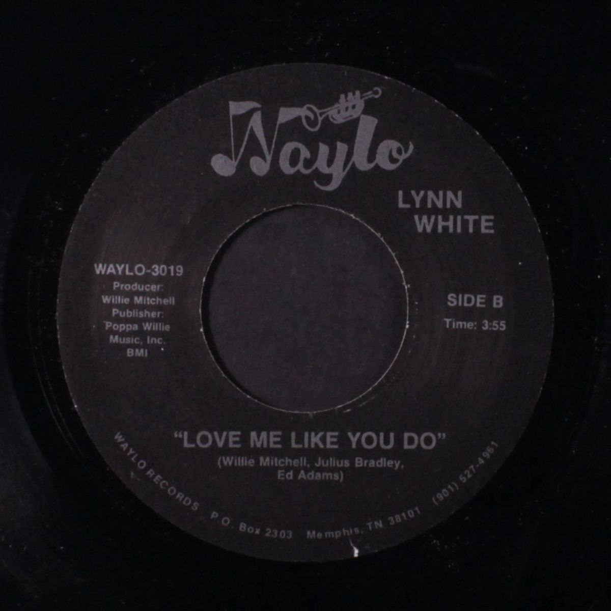your woman is home tonight by LYNN WHITE