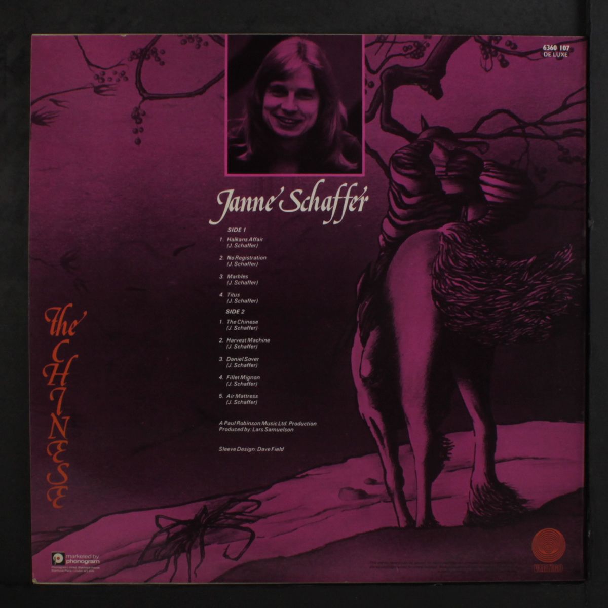 the chinese by JANNE SCHAFFER