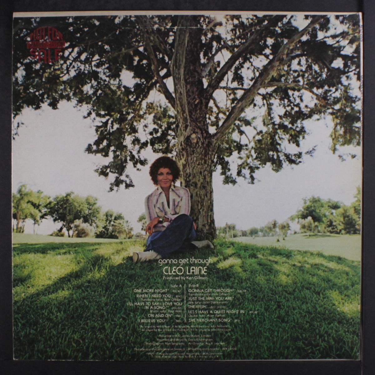 gonna get through by CLEO LAINE