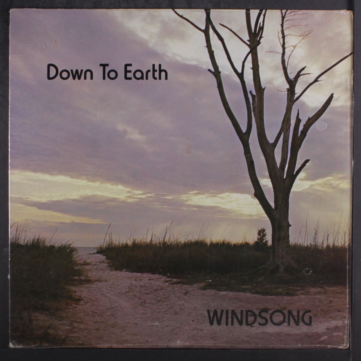 down to earth by WINDSONG