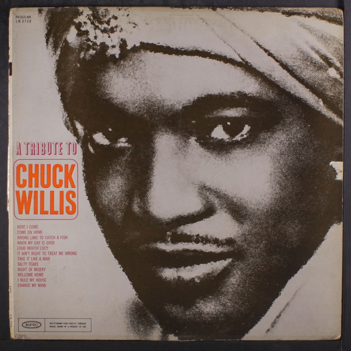 a tribute to by CHUCK WILLIS