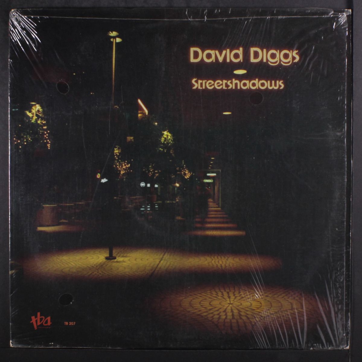 streetshadows by DAVID DIGGS