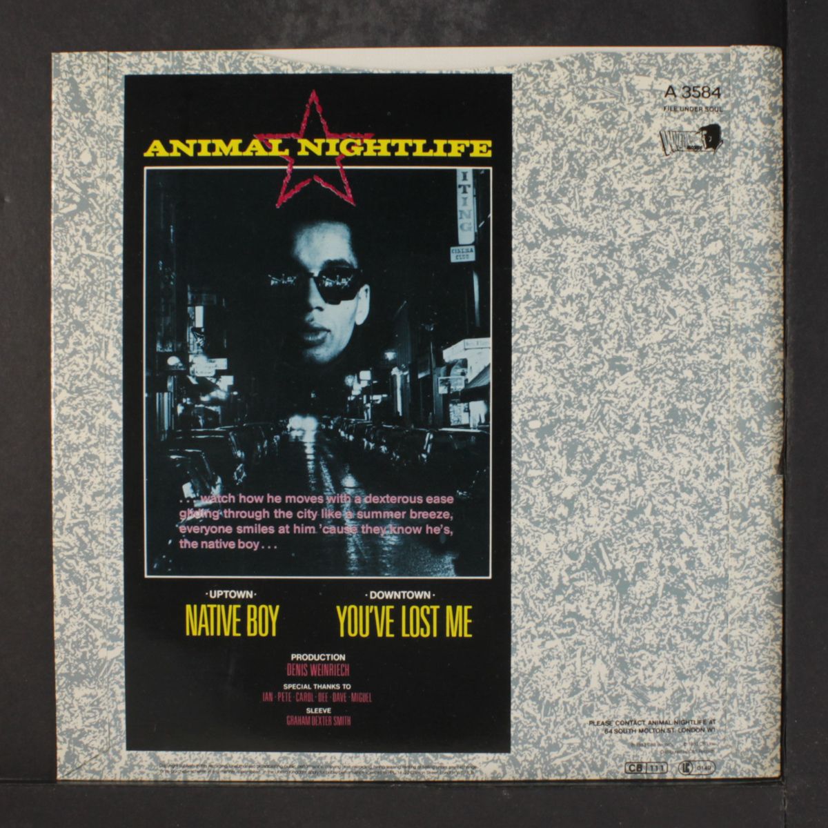 native boy / you've lost me by ANIMAL NIGHTLIFE