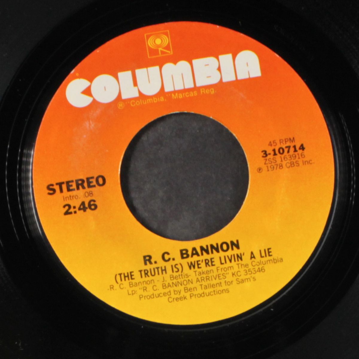 (the truth is we're livin' a lie) by R.C. BANNON
