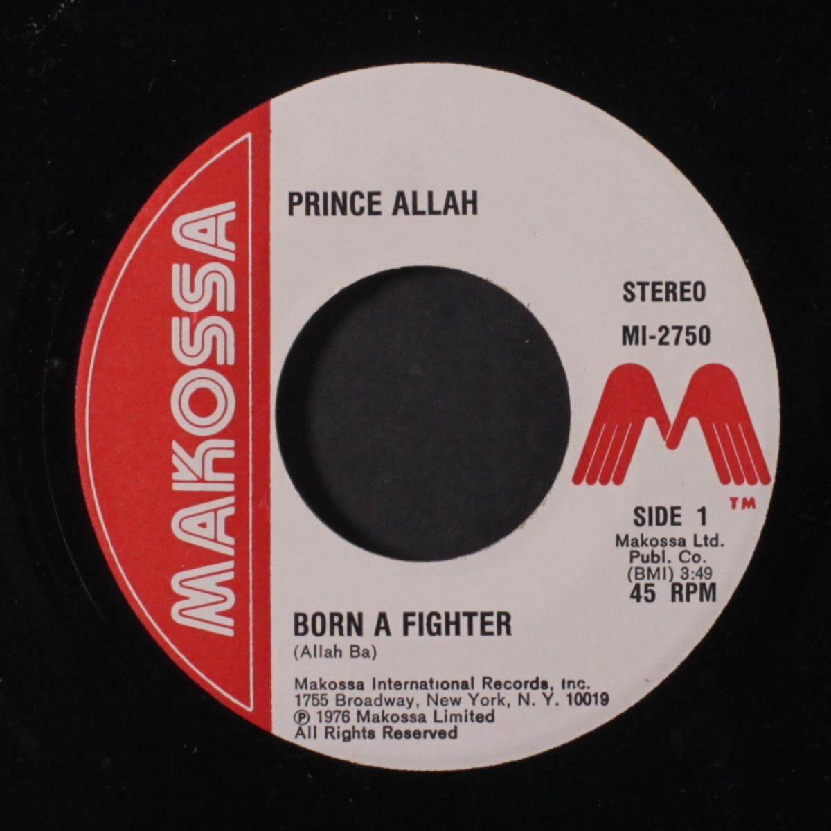 born a fighter / version by PRINCE ALLAH