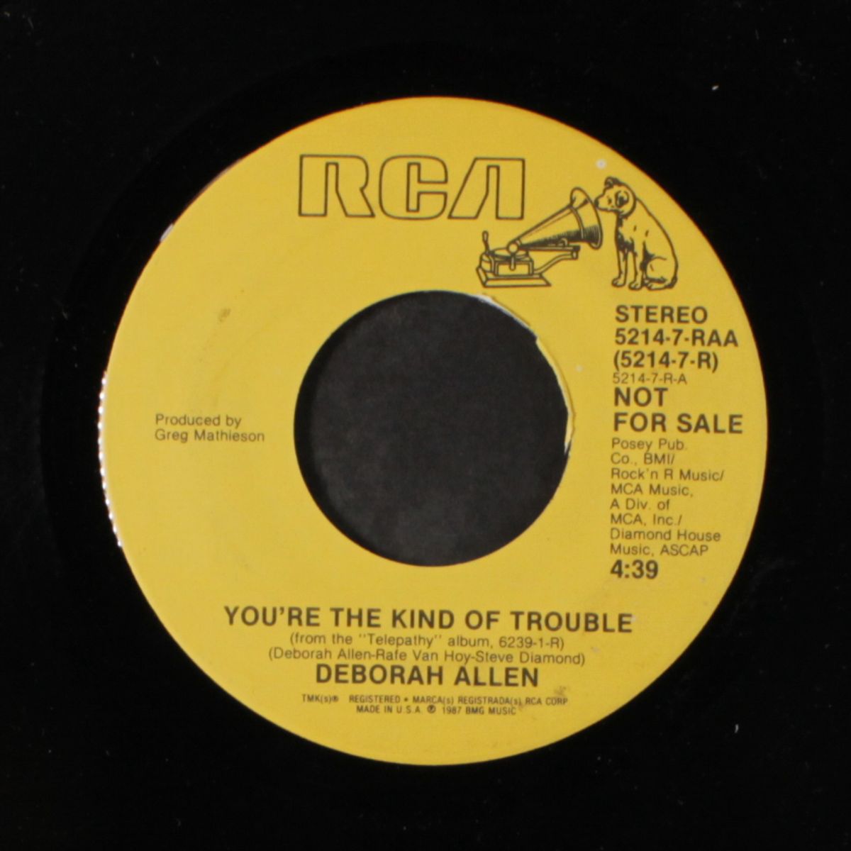 you're the kind of trouble / same by DEBORAH ALLEN