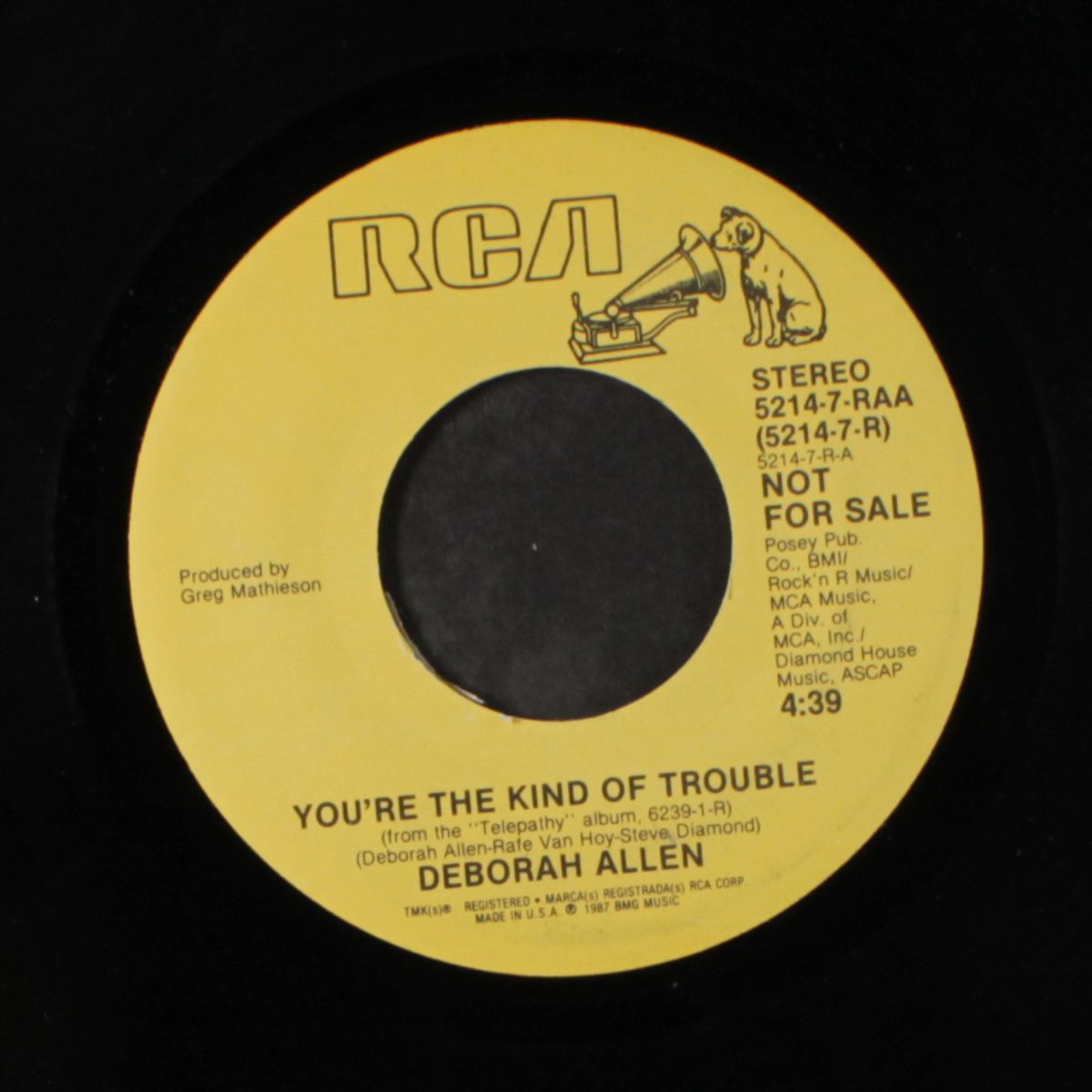 you're the kind of trouble / same by DEBORAH ALLEN