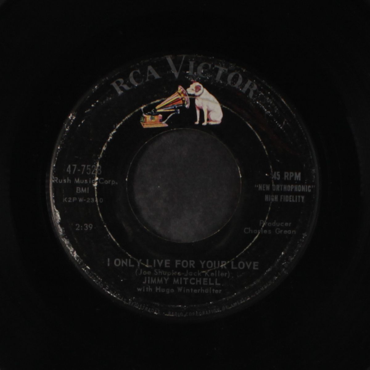i only live for your love by JIMMY MITCHELL