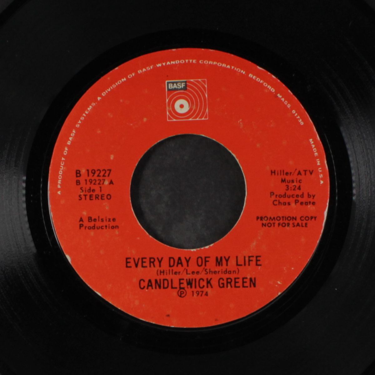 every day of my life by CANDLEWICK GREEN