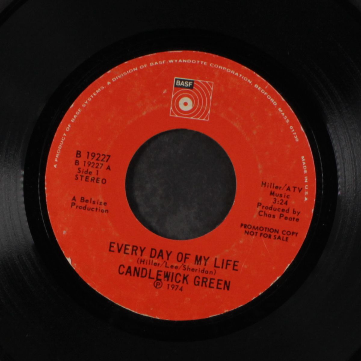 every day of my life by CANDLEWICK GREEN