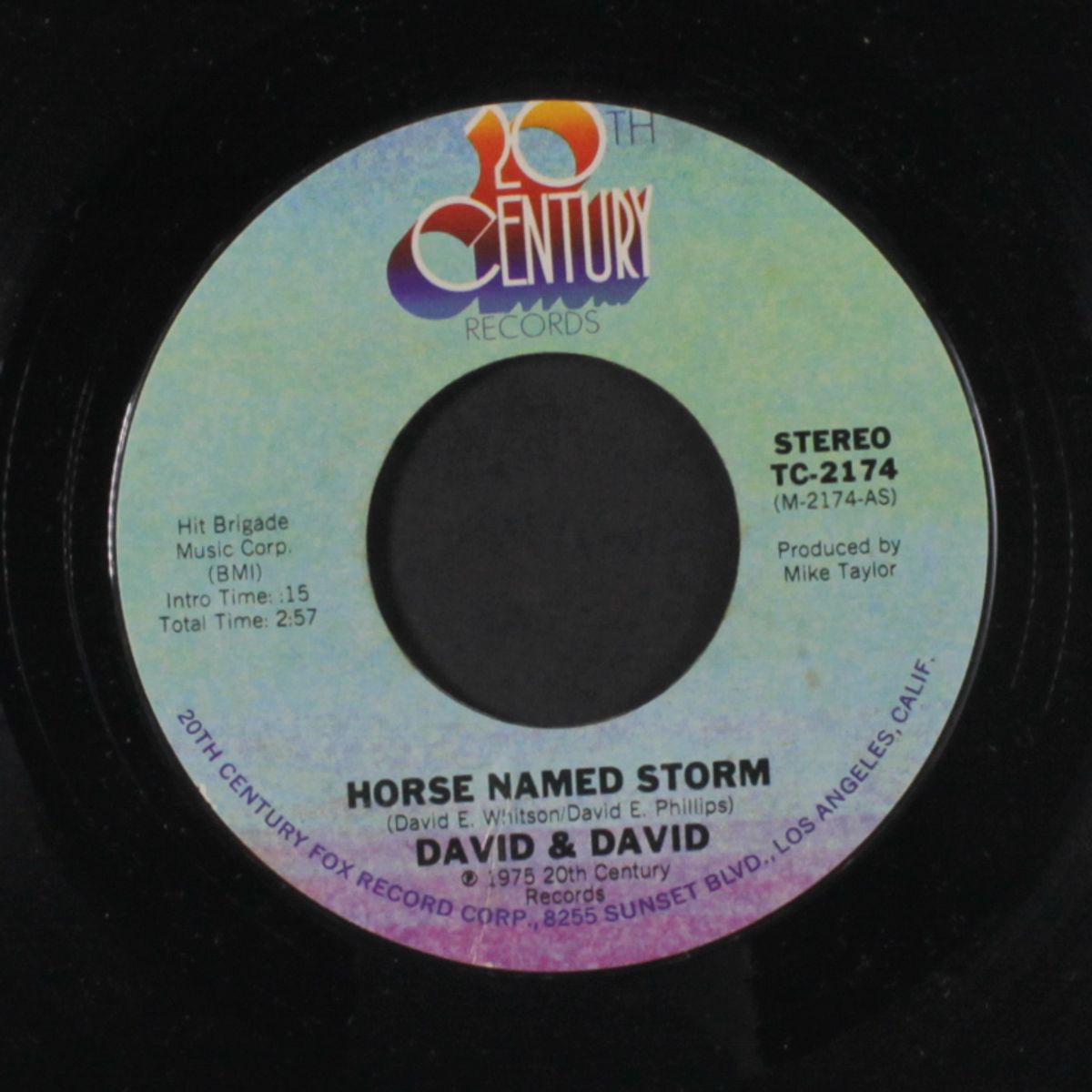 horse named storm / all the children by DAVID & DAVID