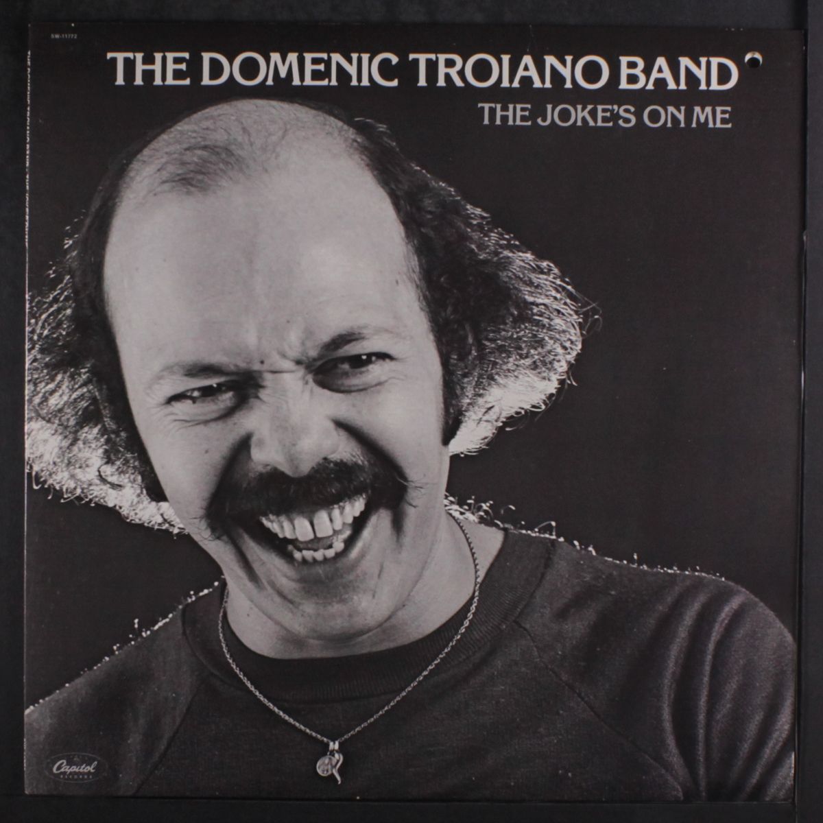 the joke's on me by DOMENIC TROIANO