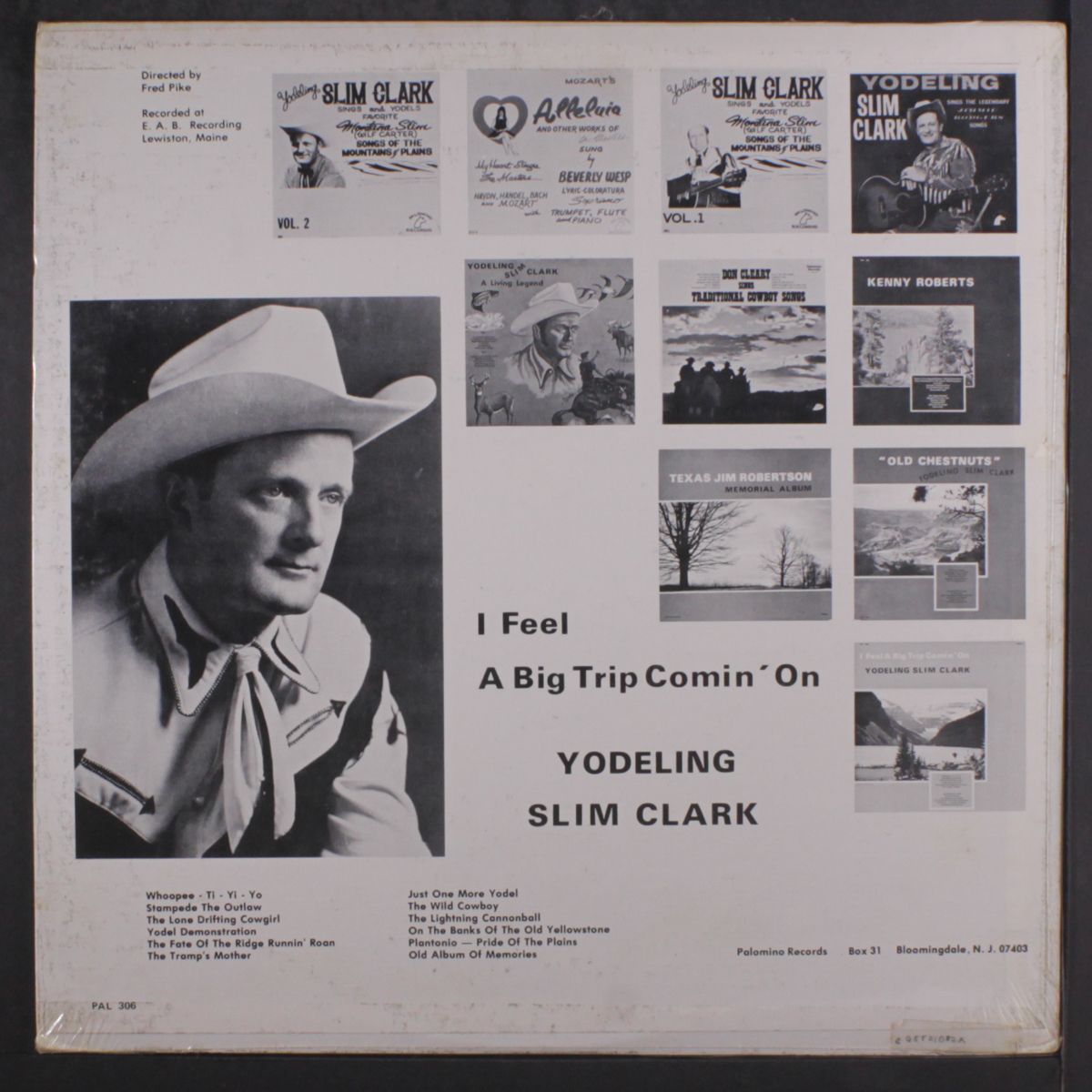 i feel a big trip coming on by YODELING SLIM CLARK