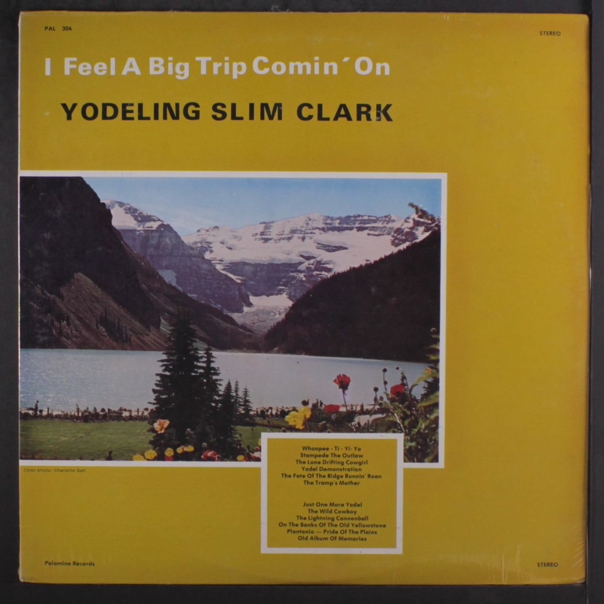 i feel a big trip coming on by YODELING SLIM CLARK