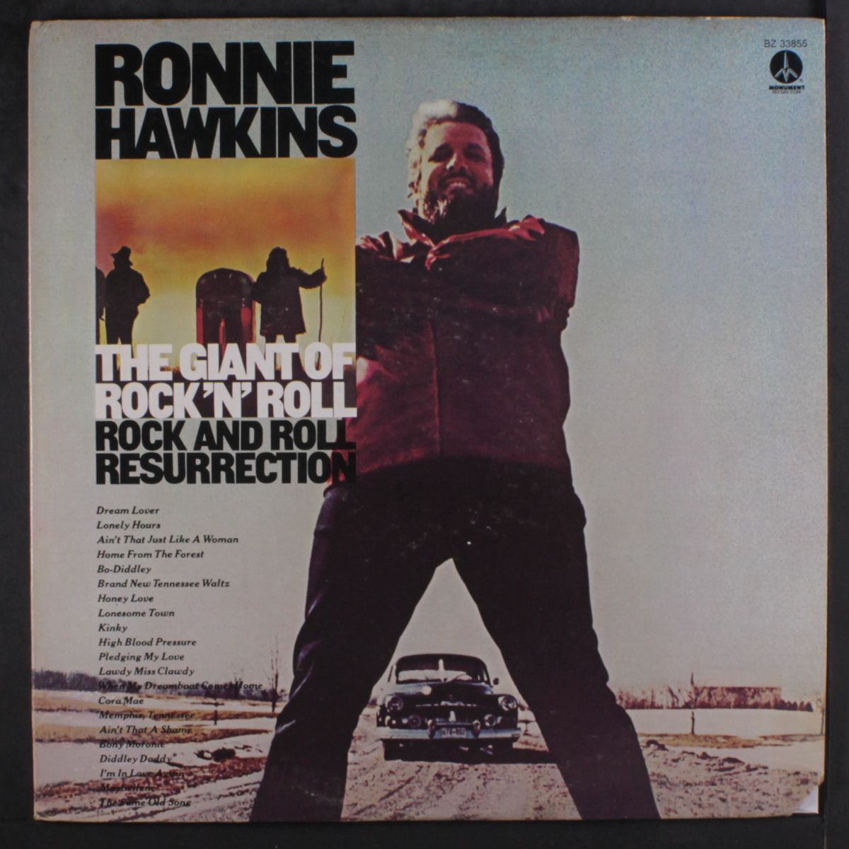 the giant of rock 'n' roll, rock and roll resurrection by RONNIE HAWKINS