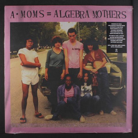 A-MOMS, ALGEBRA MOTHERS