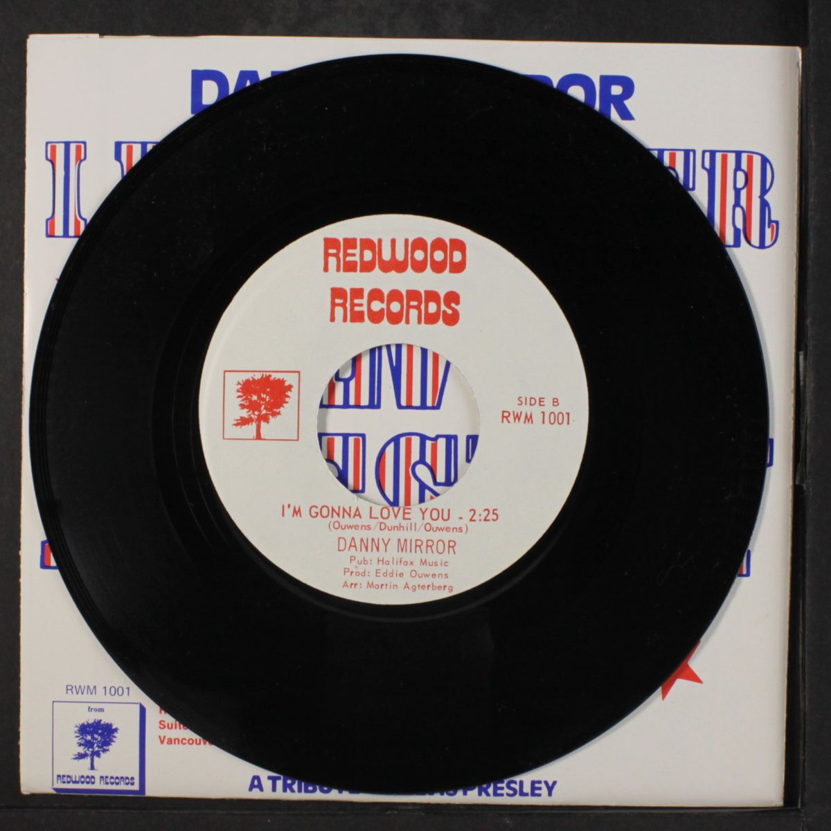 i remember elvis presley by DANNY MIRROR