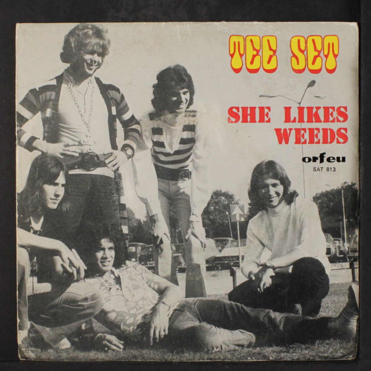 she likes weeds / a country ride by TEE-SET
