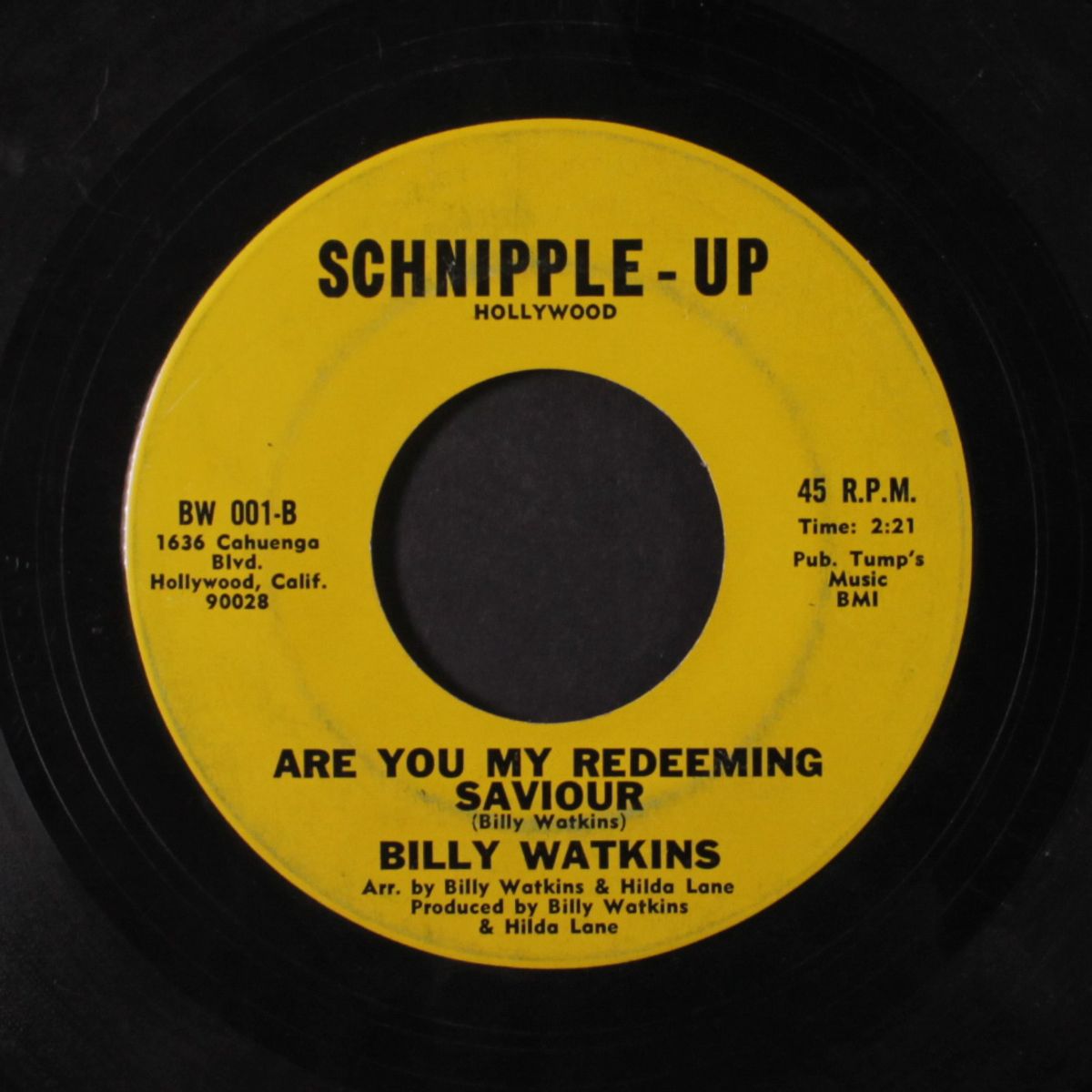 schnipple up / are you my redeeming saviour by BILLY WATKINS