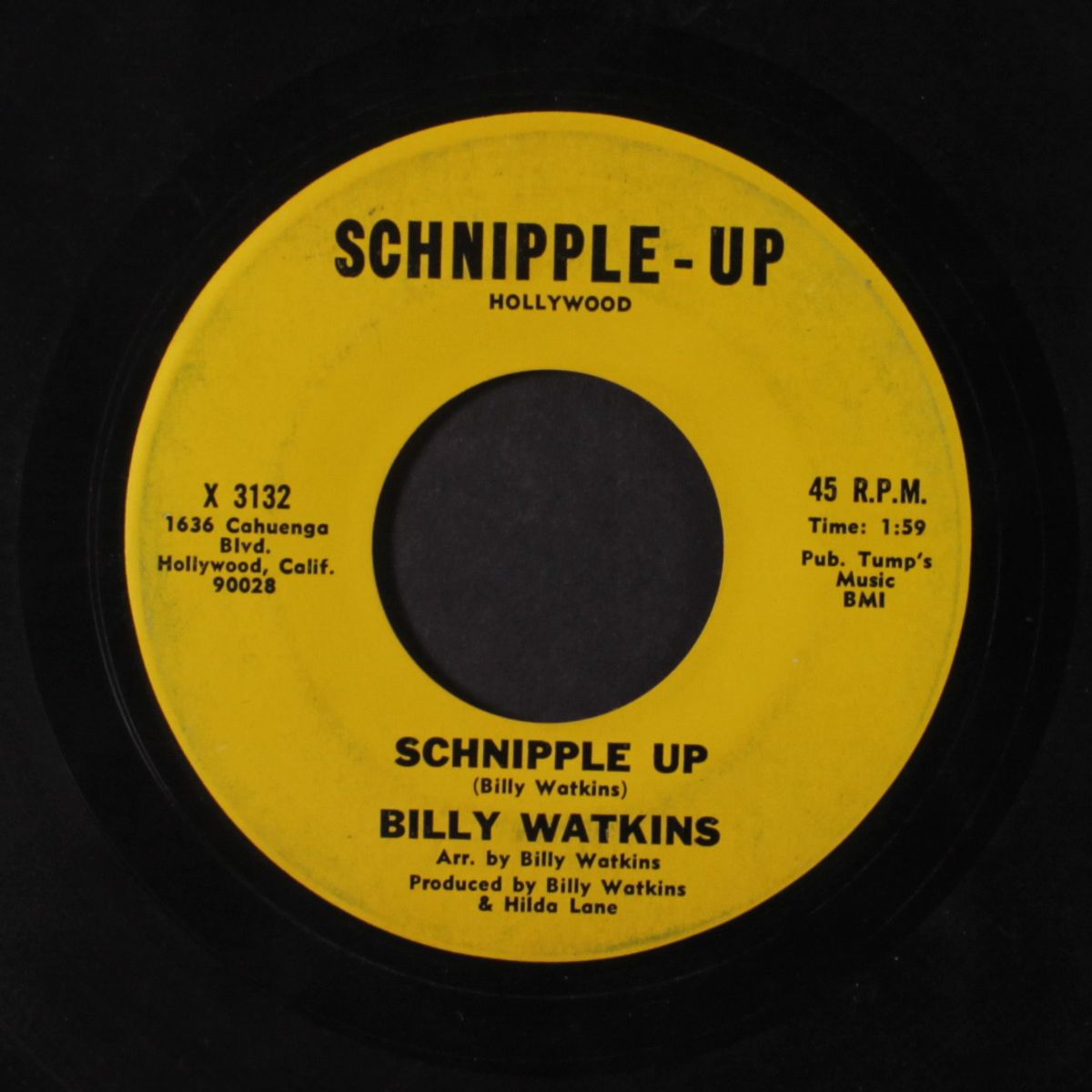 schnipple up / are you my redeeming saviour by BILLY WATKINS