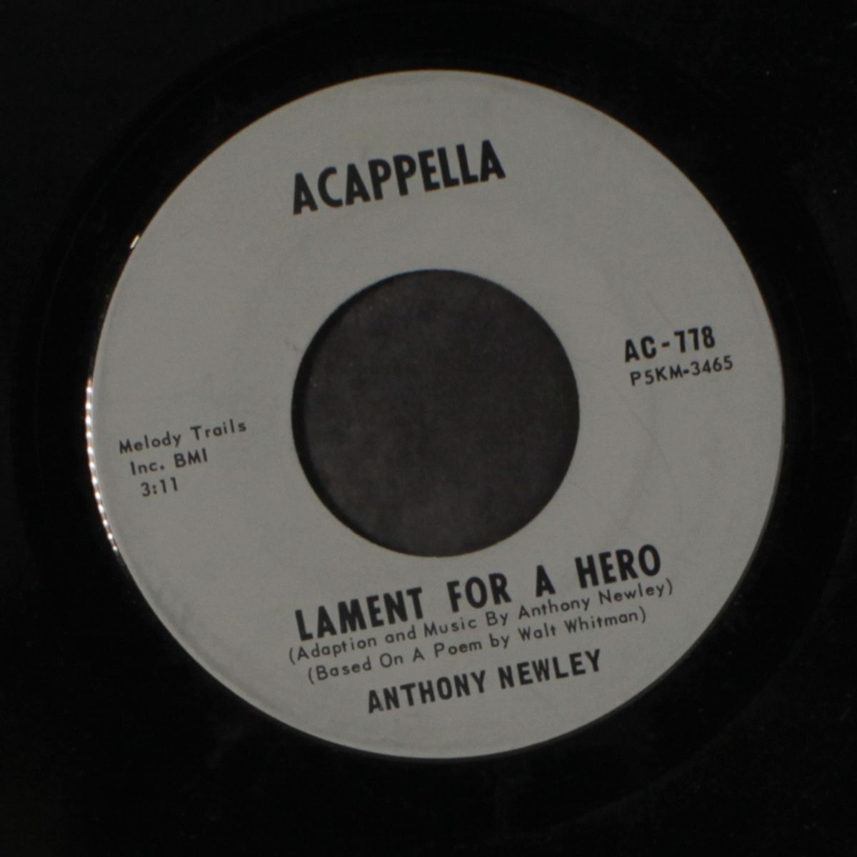tribute / lament for a hero by ANTHONY NEWLEY