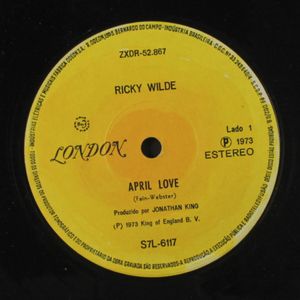 RICKY WILDE