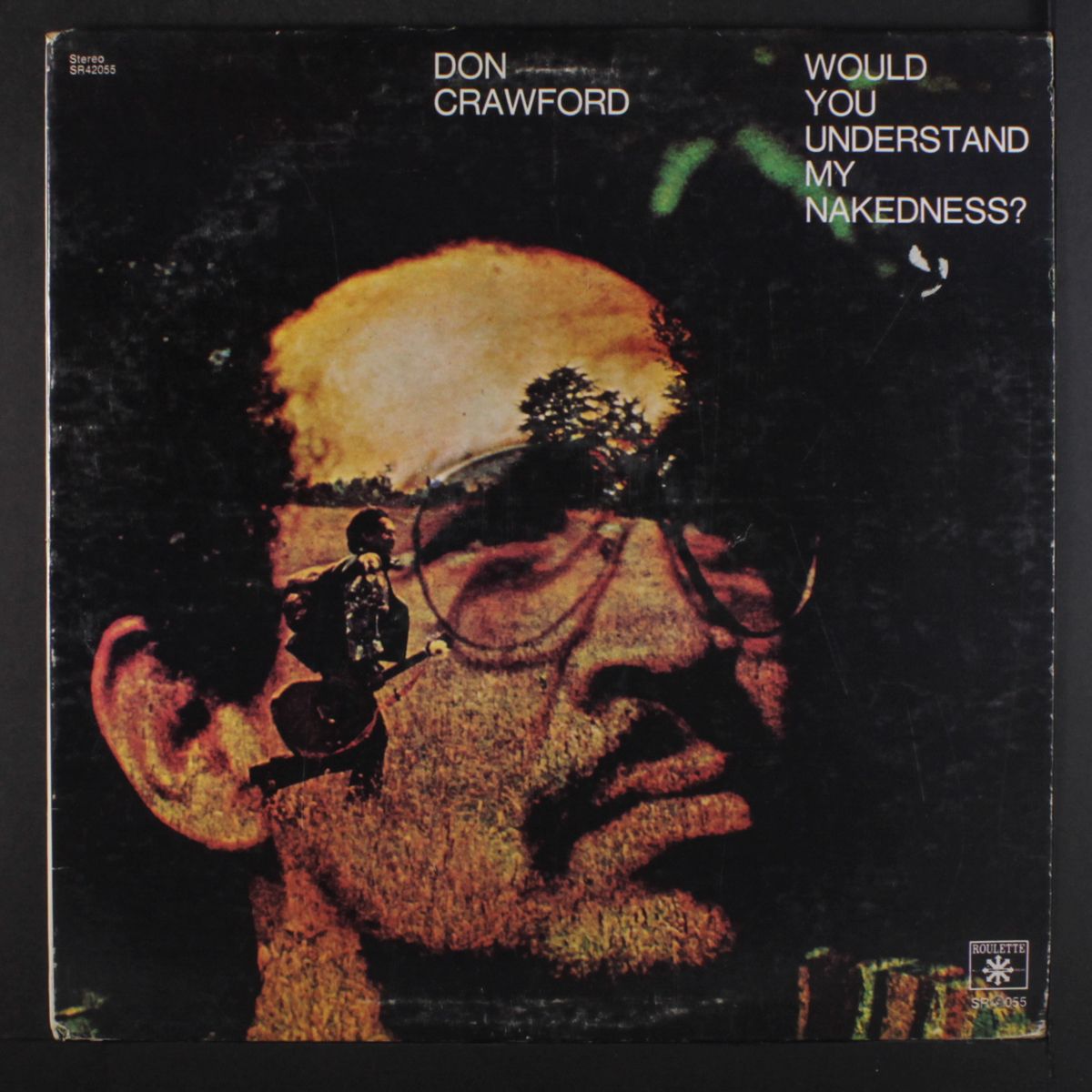 would you understand my nakedness? by DON CRAWFORD