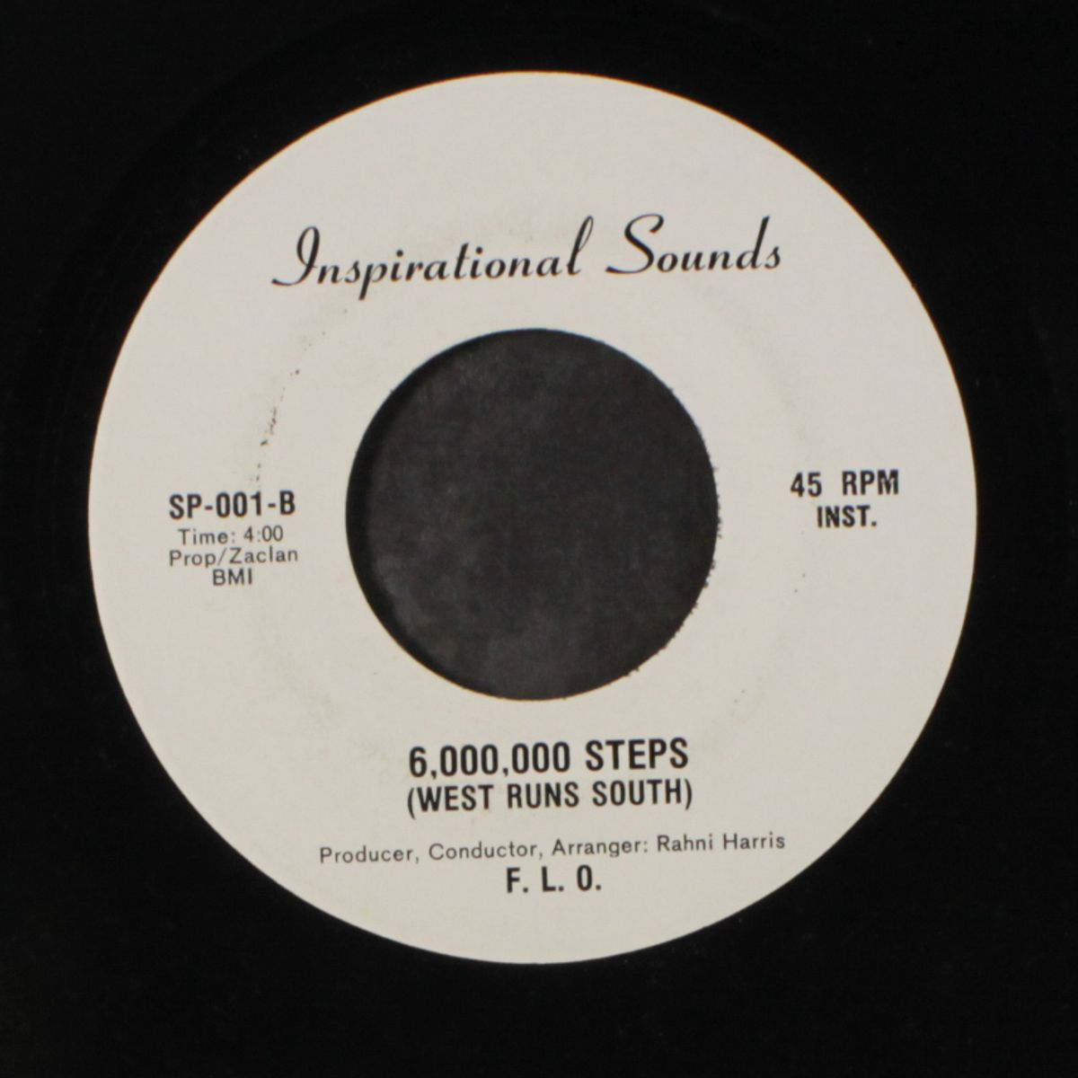 6,000,000 steps / instrumental by RAHNI & FRIENDS
