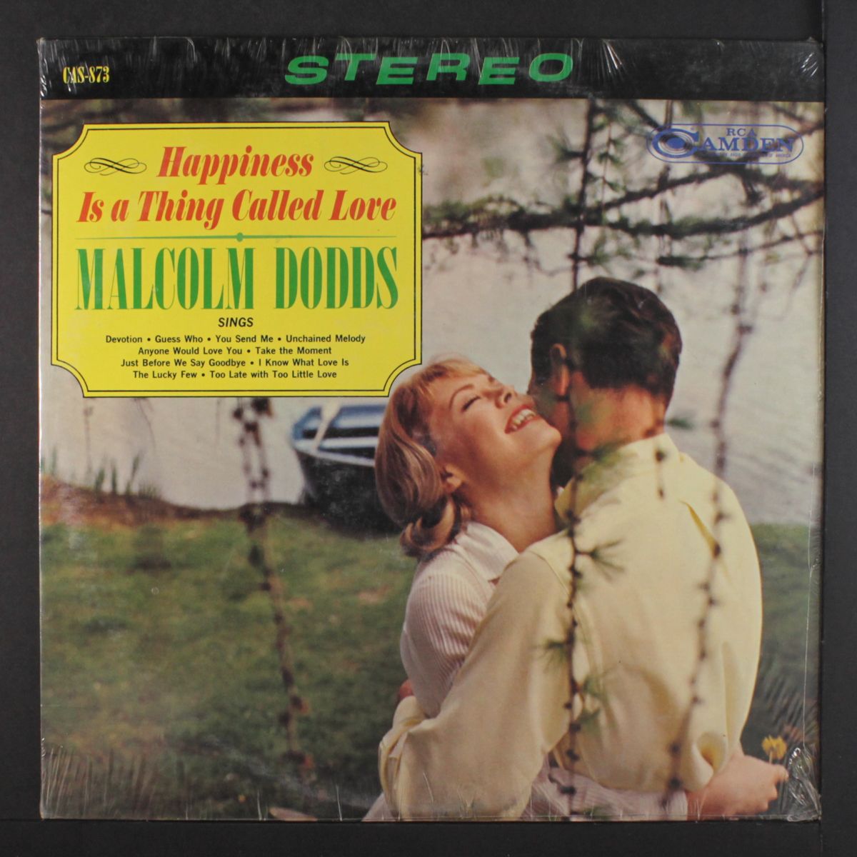 happiness is a thing called love by MALCOLM DODDS