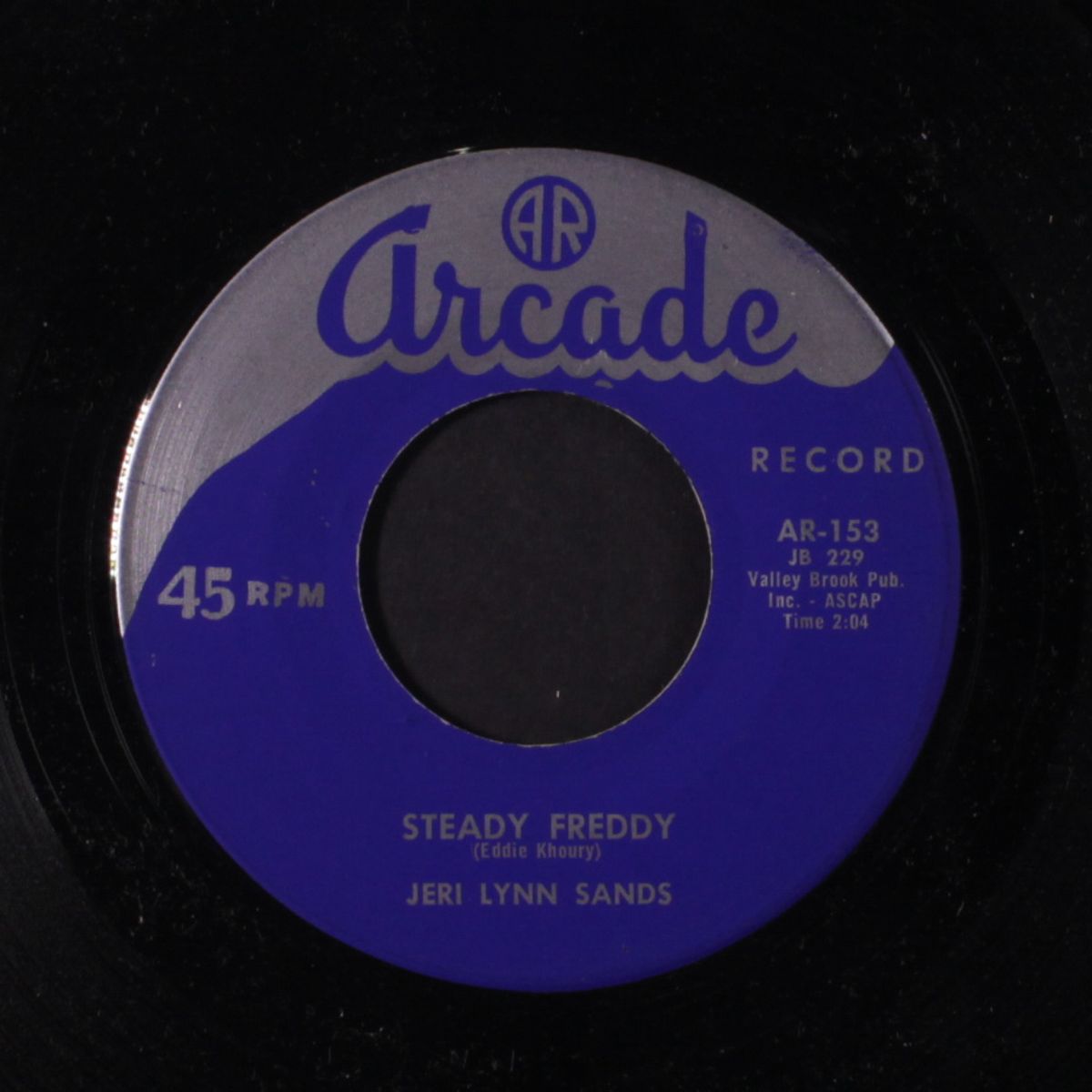 steady freddy / as long as i can dream by JERI LYNN SANDS