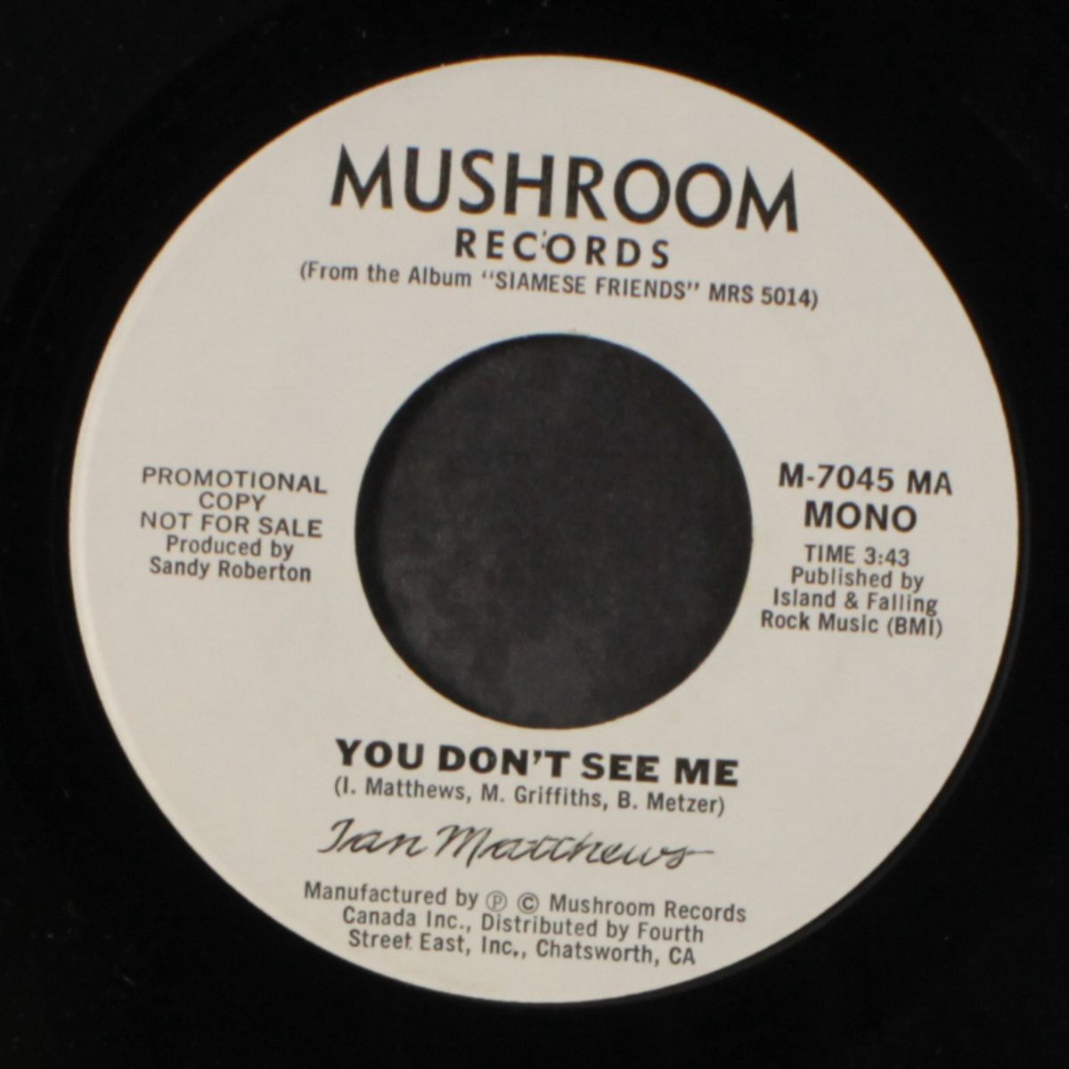 you don't see me / mono by IAN MATTHEWS