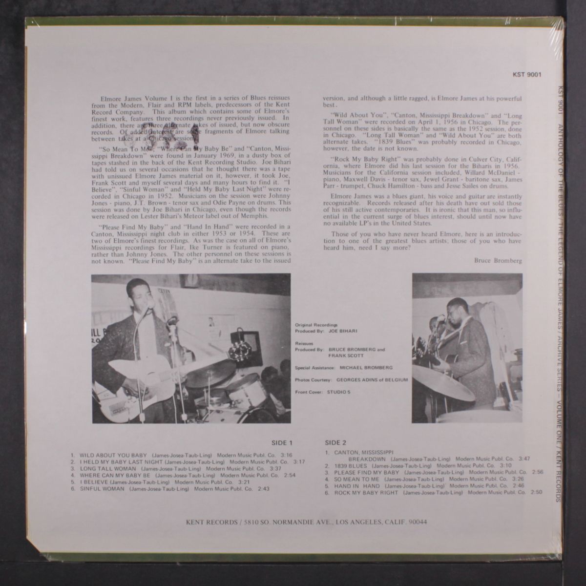 the legend of by ELMORE JAMES