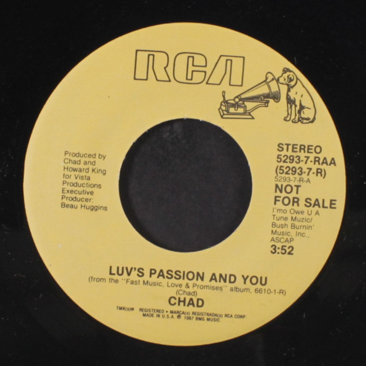 luv's passion and you / mono by CHAD