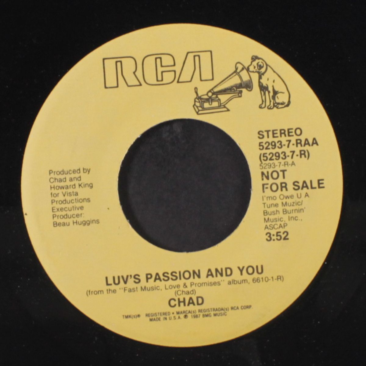 luv's passion and you / mono by CHAD