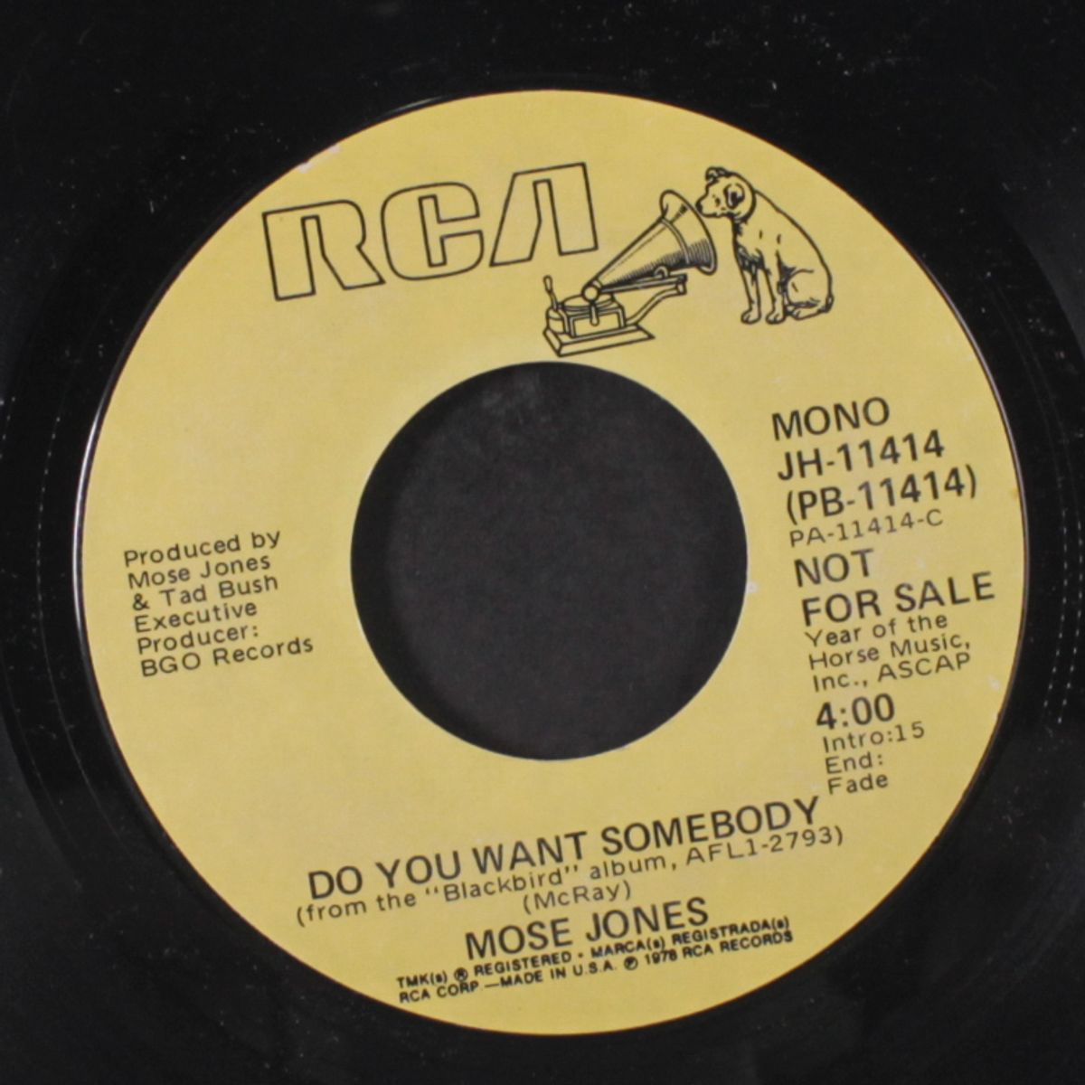do you want somebody / mono by MOSE JONES