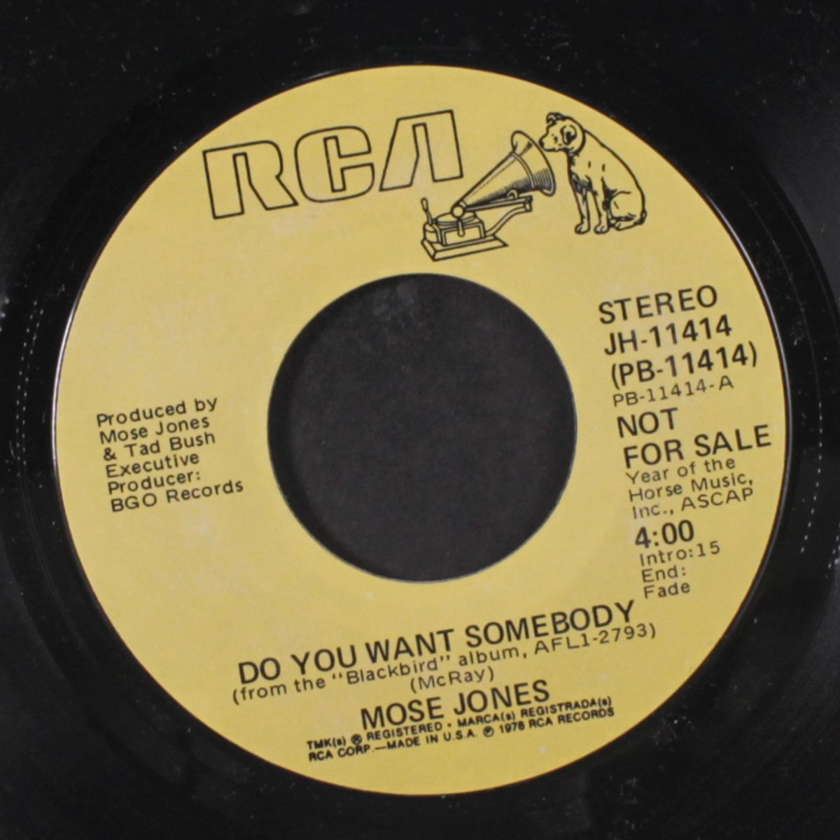 do you want somebody / mono by MOSE JONES