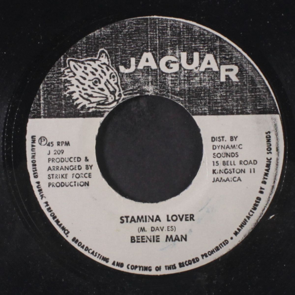 stamina lover / version by BEENIE MAN