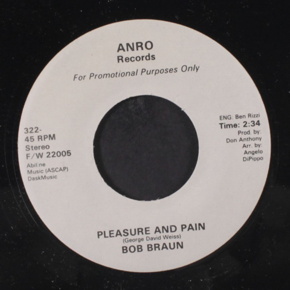 pleasure and pain / same by BOB BRAUN